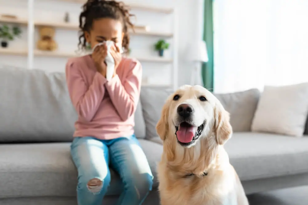 Allergy Relief