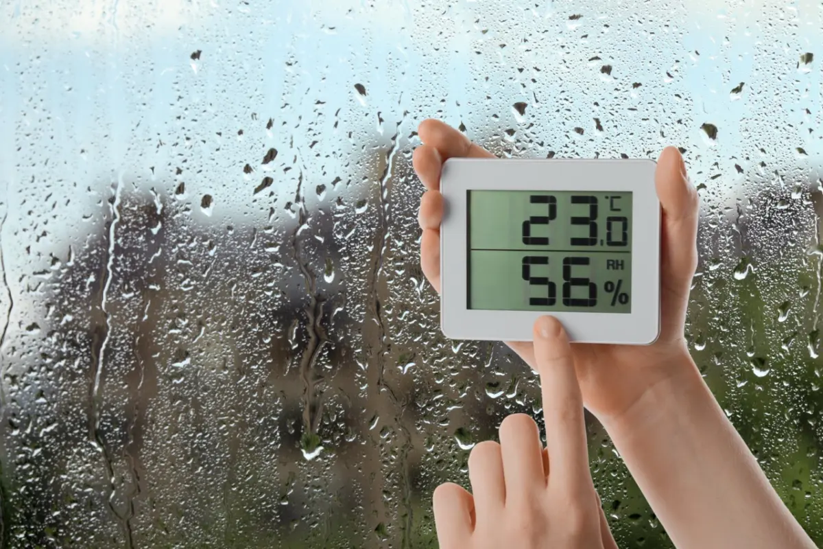 How Indoor Humidity Affects Your Home — And How to Fight It