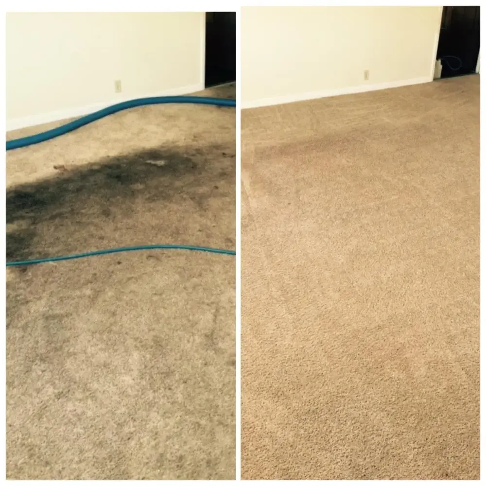 Before and after carpet cleaning in a bedroom