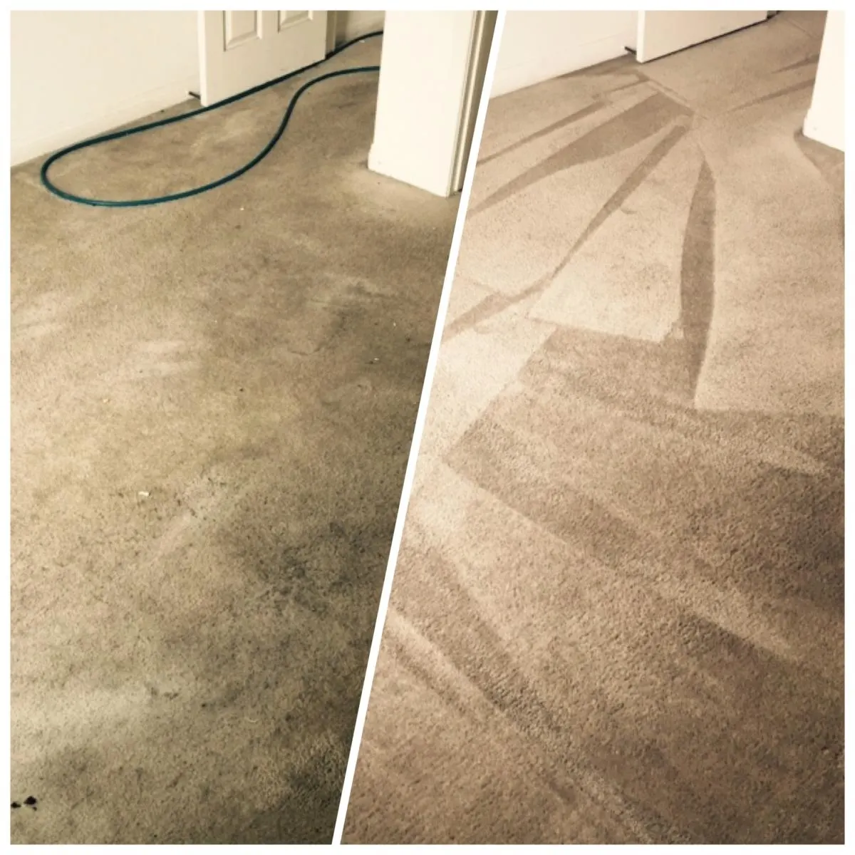 Before and after hot-water extraction on beige carpet Before and after hot-water extraction on beige carpet
