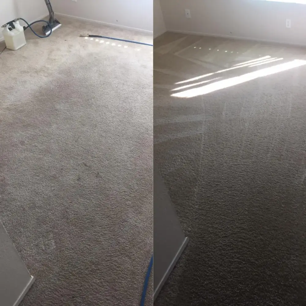 Commercial carpet before and after cleaning