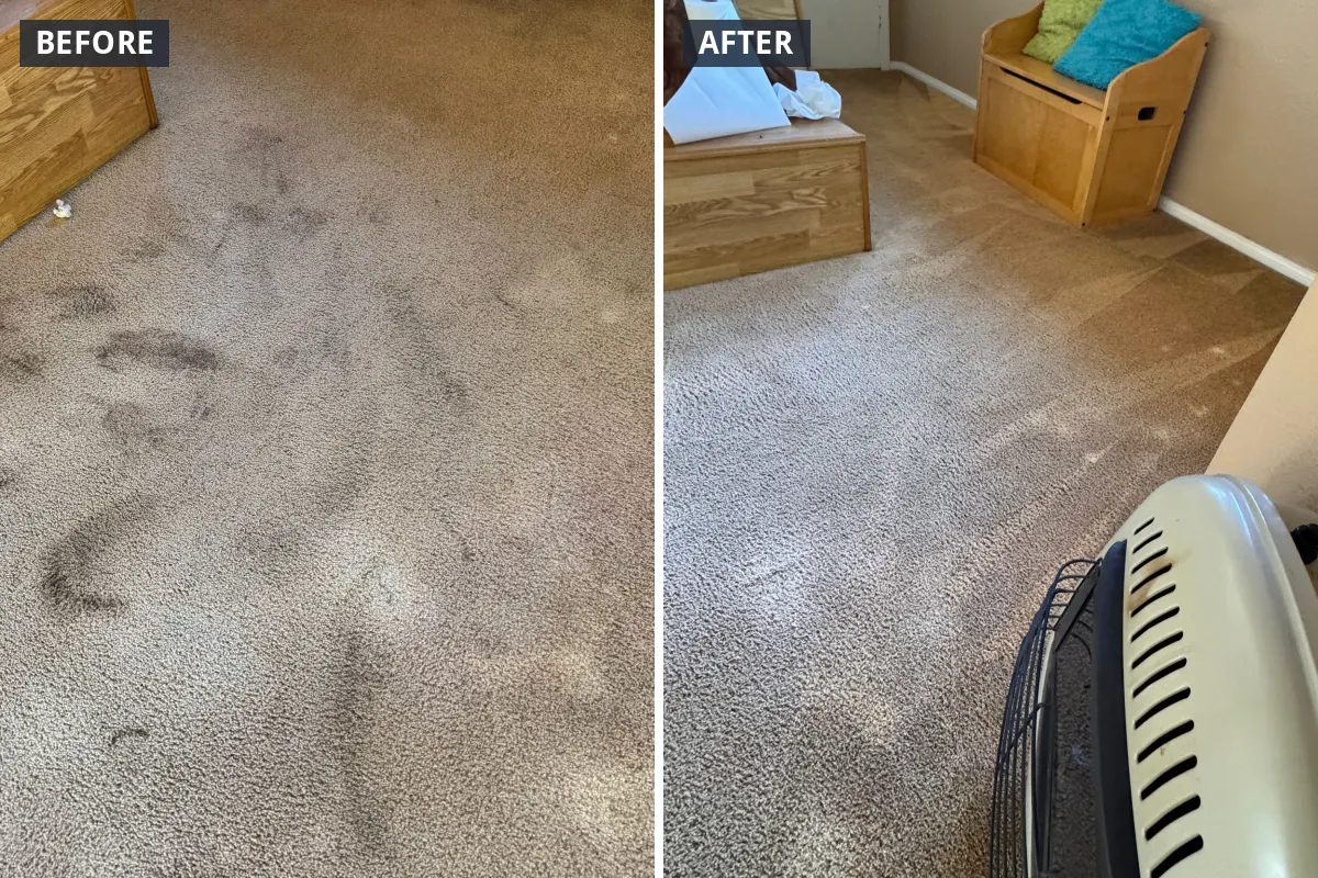 Living room carpet with dark footprints before and after deep cleaning