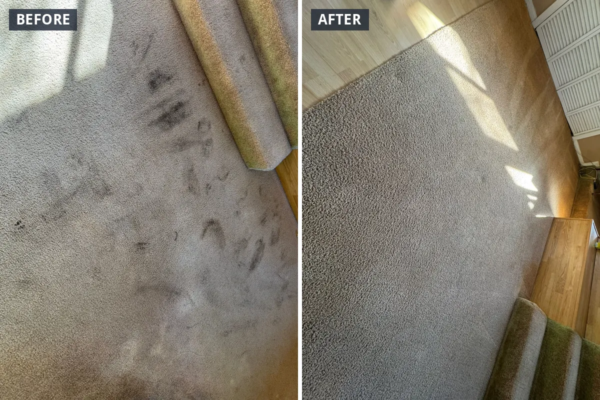 Carpet by a step landing before and after cleaning