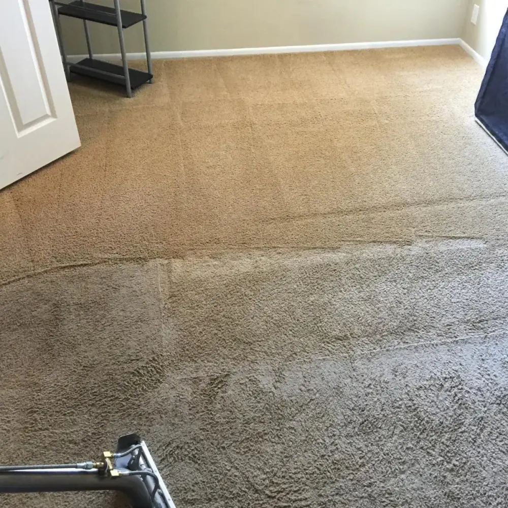 Carpet being extracted after water damage