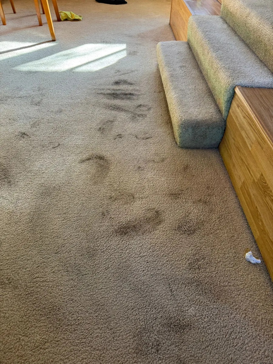 Carpet with heavy footprint soiling before cleaning