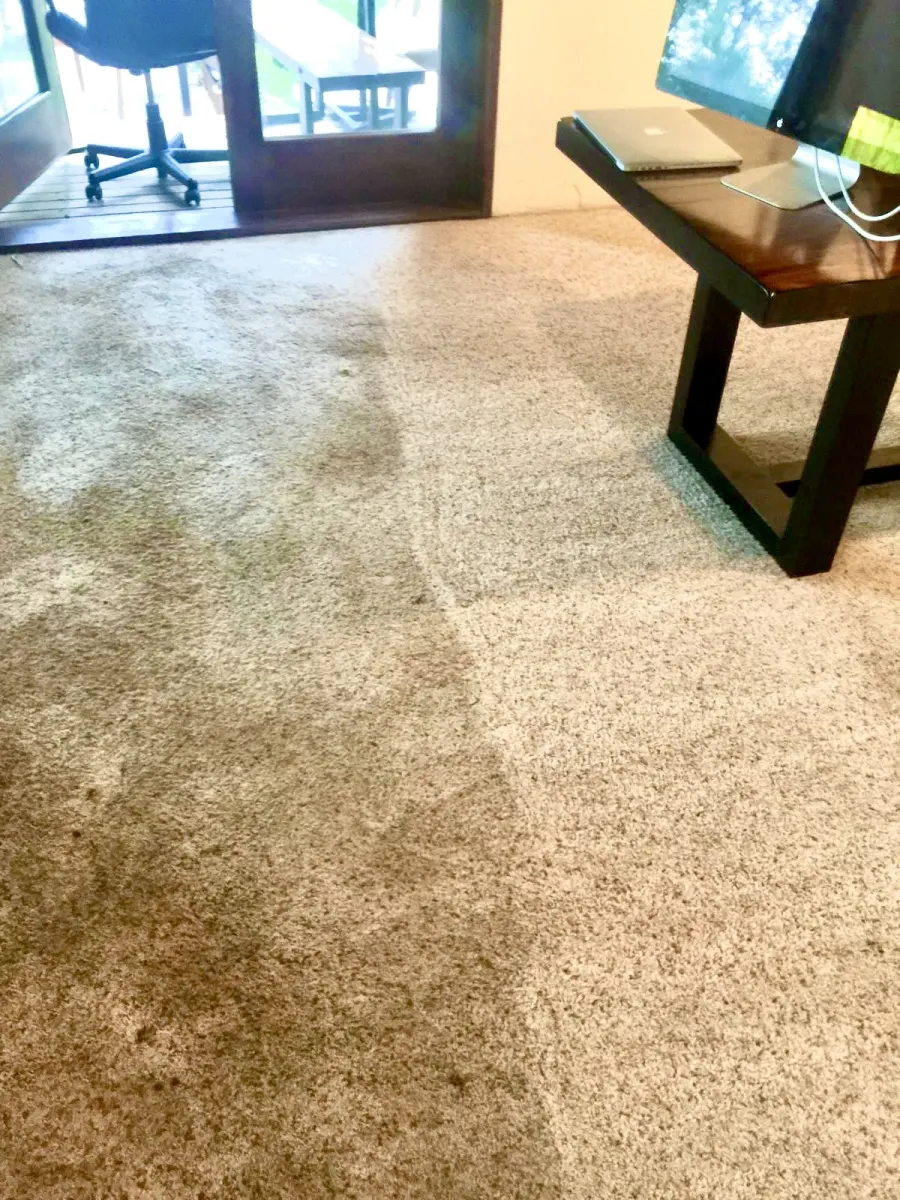 Carpet traffic lane half cleaned, before and after Carpet traffic lane half cleaned, before and after