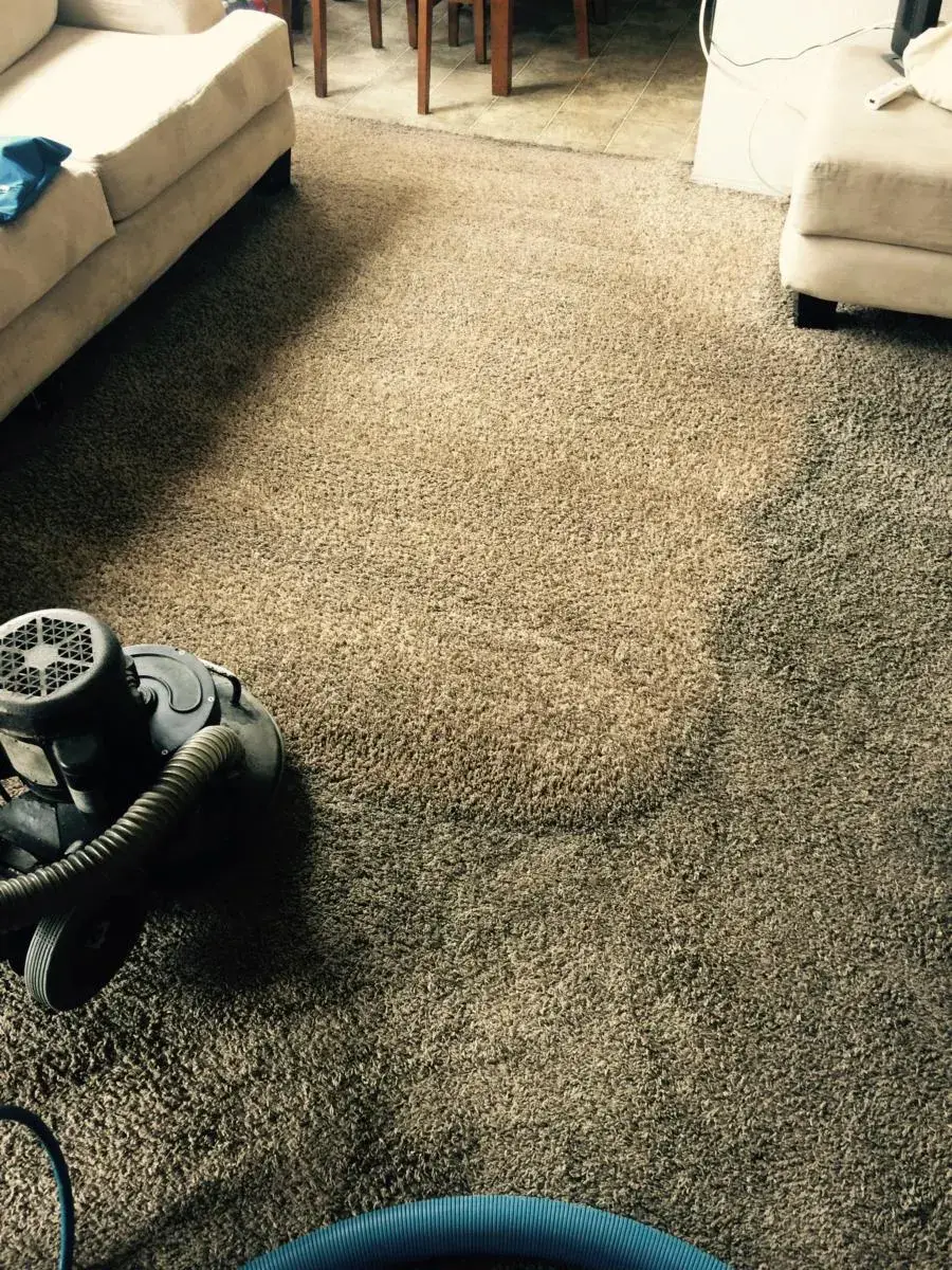 Dark traffic lane being removed from carpet