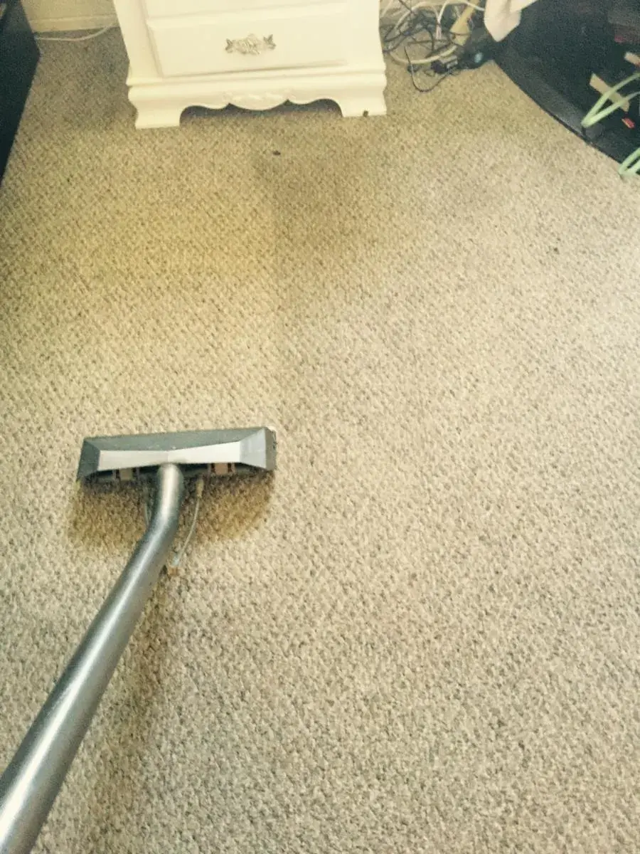Deep extraction to remove odors from bedroom carpet Deep extraction to remove odors from bedroom carpet