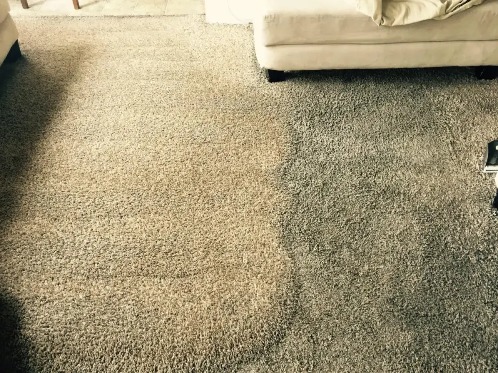 Technician cleaning living room carpet with extraction wand