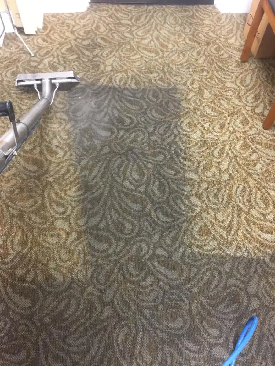 Area rug being extracted during odor treatment
