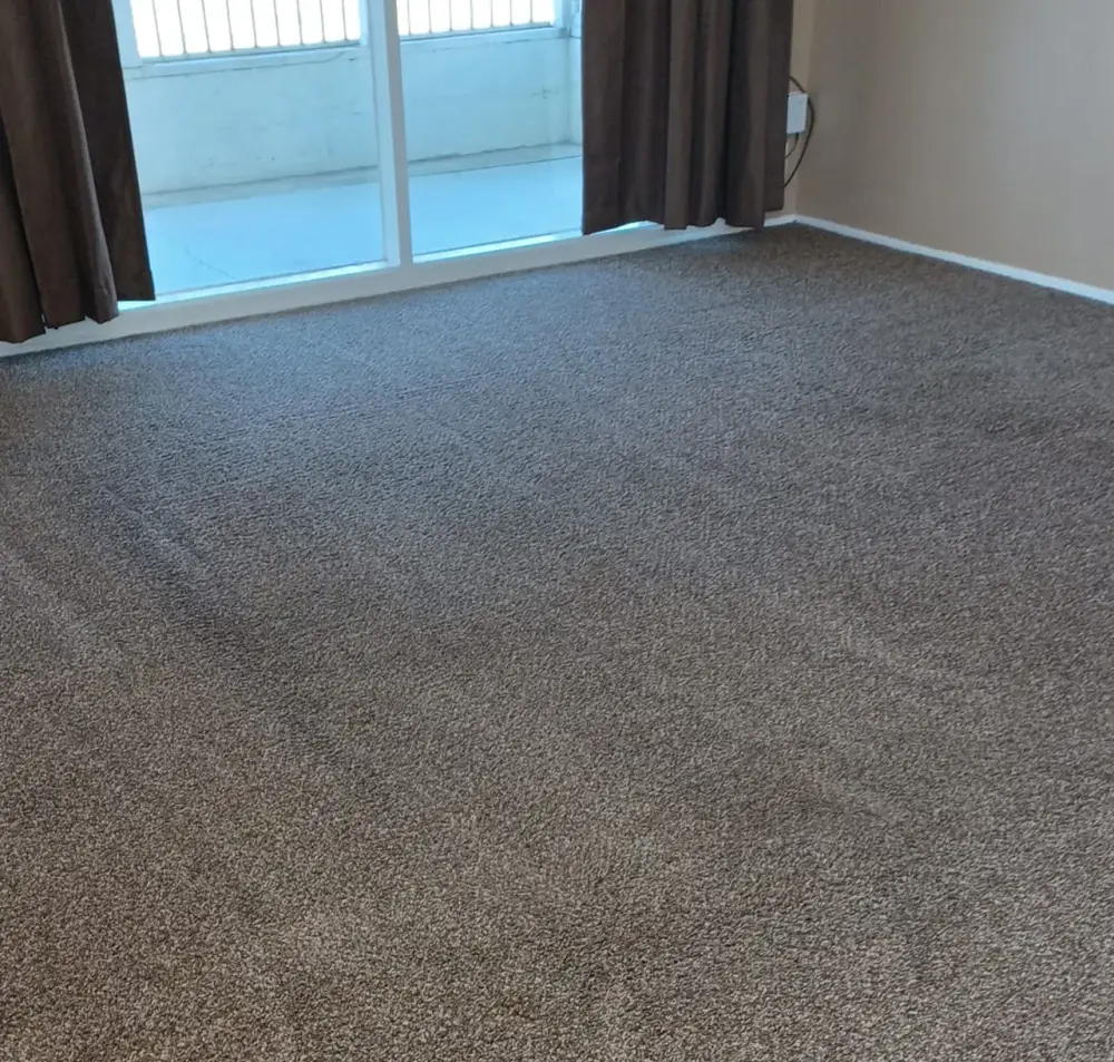 Restored bedroom carpet after drying and cleaning