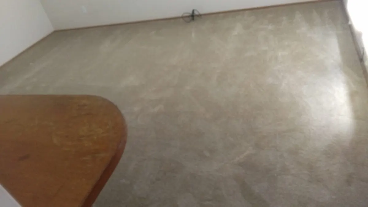 Clean carpet in an empty room ready for move-in
