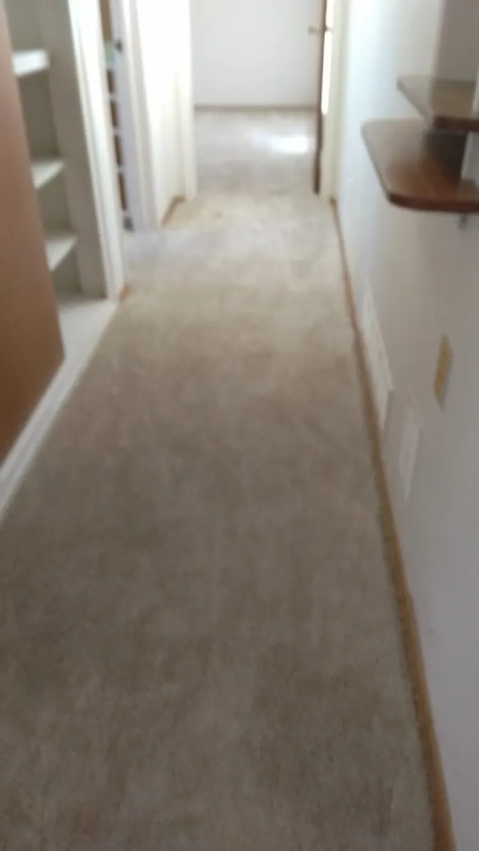 Hallway carpet after cleaning with grooming lines Hallway carpet after cleaning with grooming lines