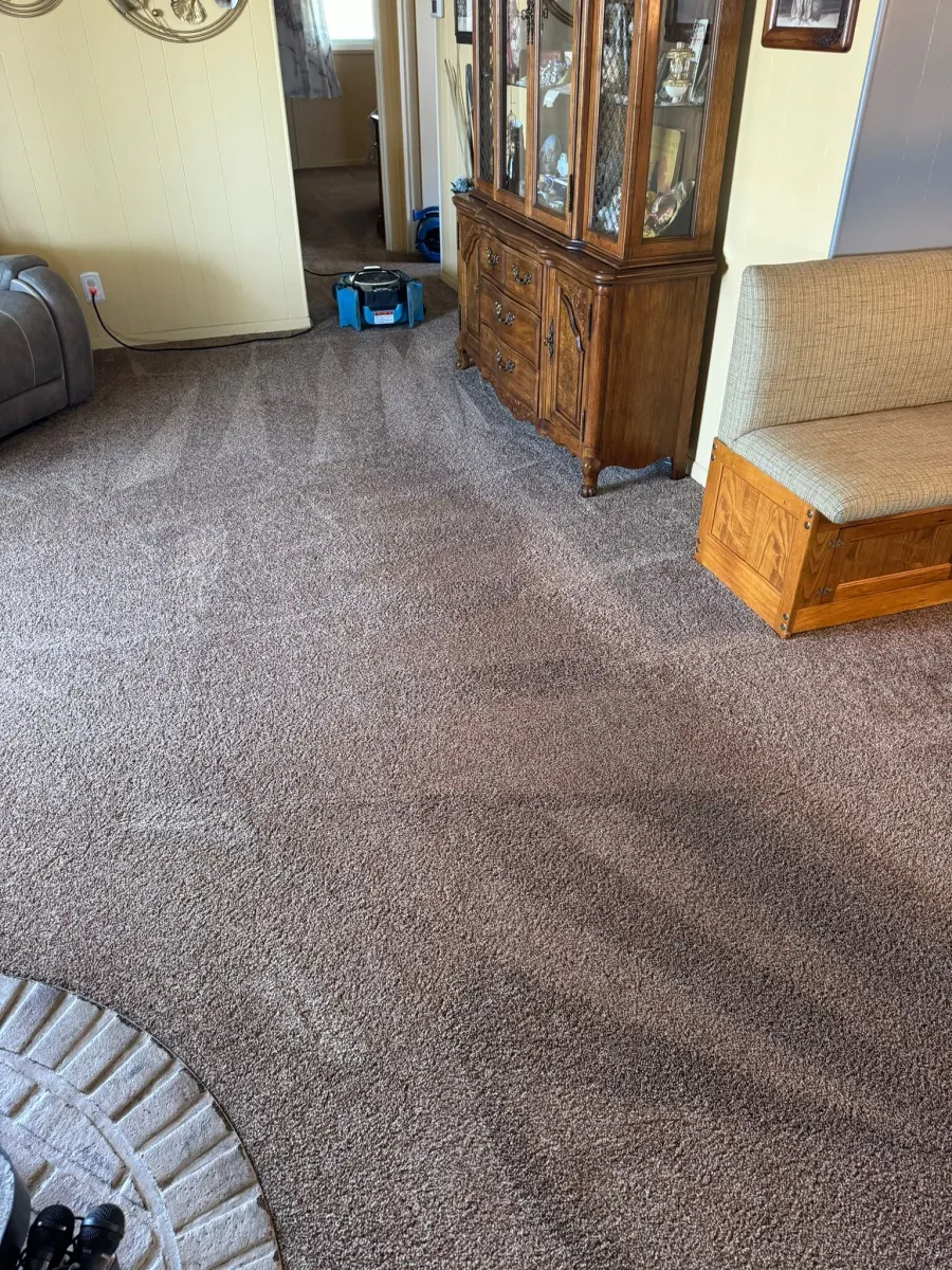 Living room carpet after deep cleaning