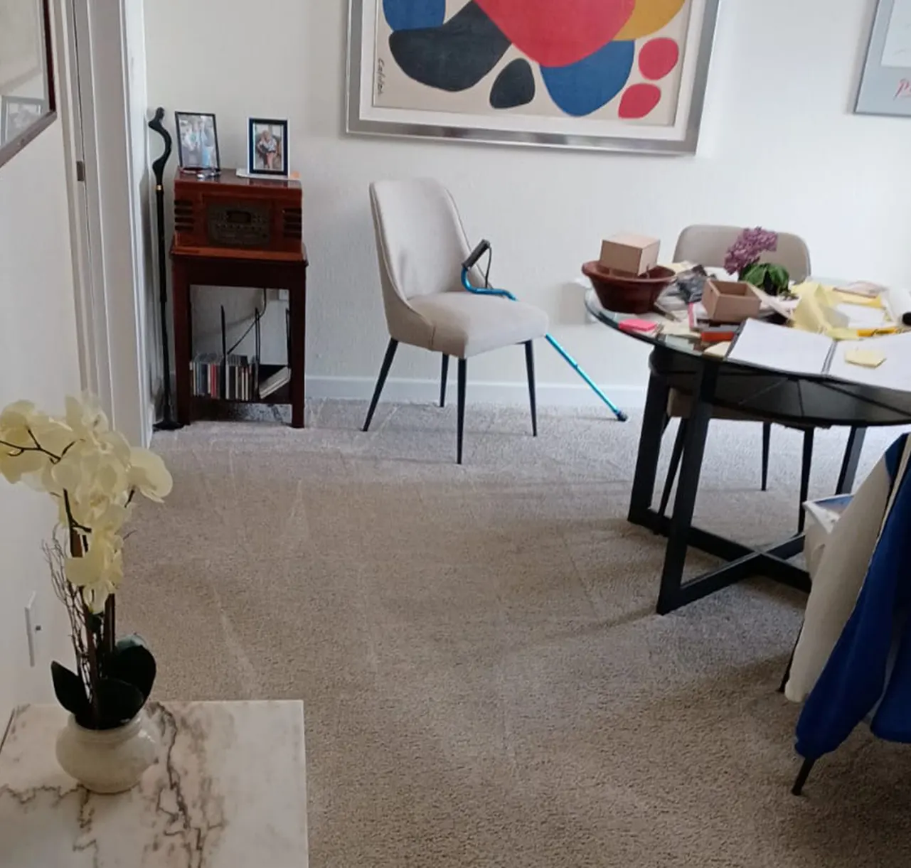 Clean living room after furniture and carpet cleaning — Imperial Carpet Cleaning, San Diego