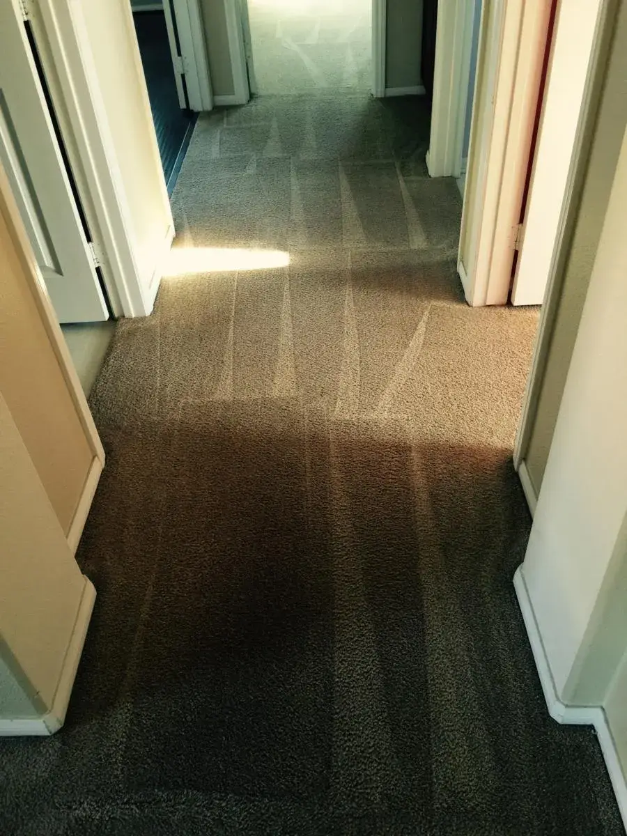 Hallway carpet cleaning in a commercial property
