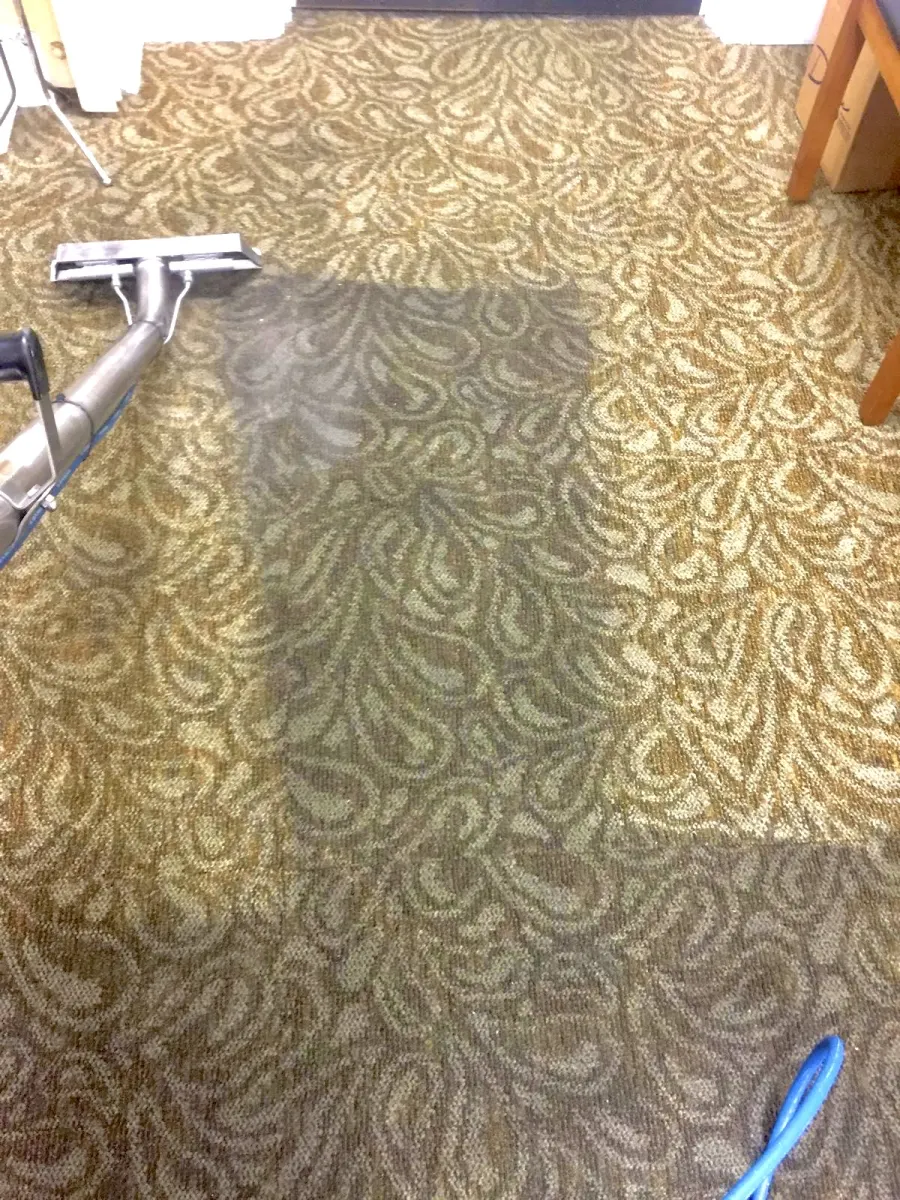 Patterned carpet half cleaned with an extraction wand Patterned carpet half cleaned with an extraction wand