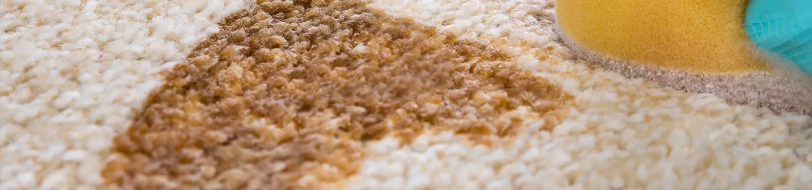 Stain carpet closeup — Imperial Carpet Cleaning, San Diego