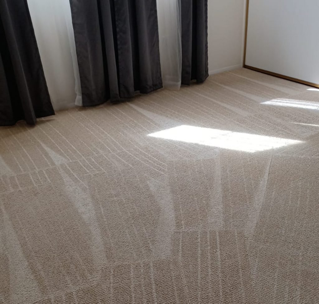 Carpet Cleaning San Diego
